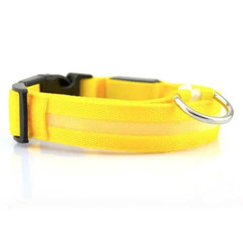 LED Obojek pro psy se světelnou signalizací