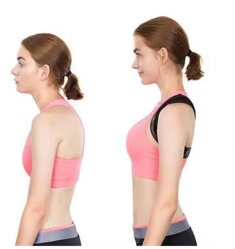 Ergonomická podpůrná ortéza zad (zádová opěrka)