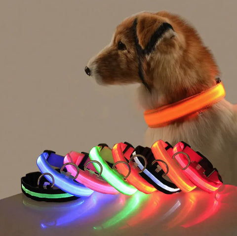 LED Obojek pro psy se světelnou signalizací
