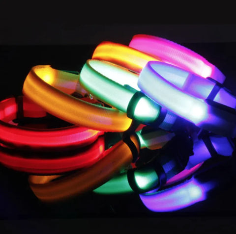 LED Obojek pro psy se světelnou signalizací