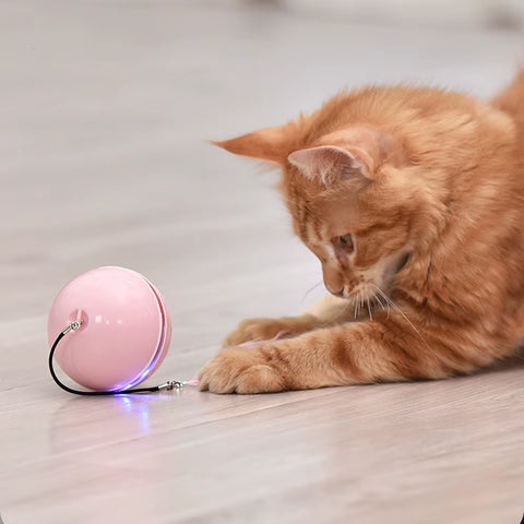 Smart Interactive Cat Toy Colorful LED Self Rotating Ball with Catnip Bell and Feather Toys USB Rechargeable Cat Kitten Ball Toy