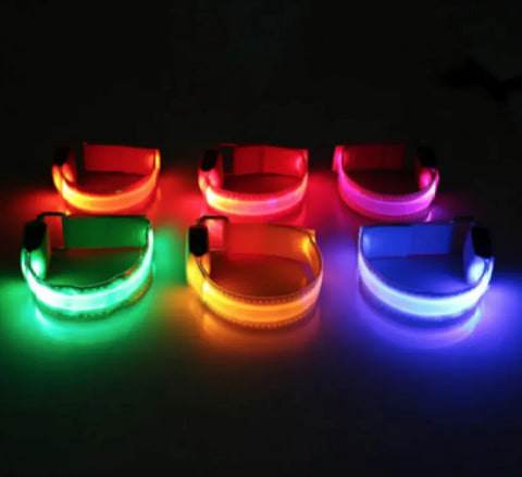 LED Obojek pro psy se světelnou signalizací