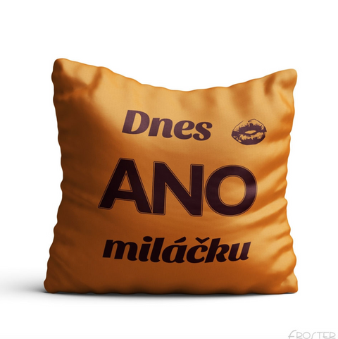 Luxusní oboustranný povlak na polštář Dnes ano / Dnes ne 40×40 cm