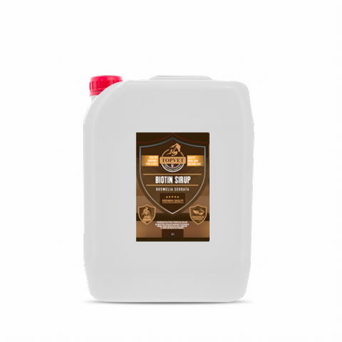 Green idea Sirup Biotin s boswelií 5 l 5000 ml