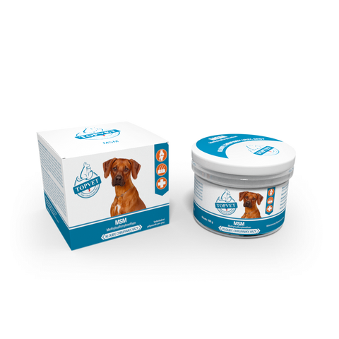 Green idea MSM pro psy 100 g