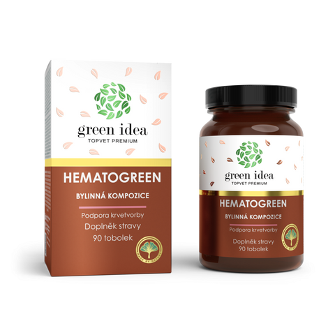 Green idea Hematogreen tobolky 90 ks