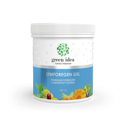 Green idea Lymforegen masážní gel 250 ml