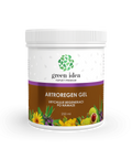 Green idea Artroregen masážní gel 250 ml