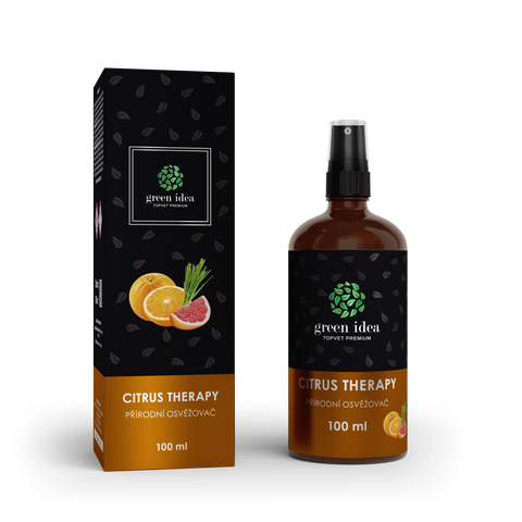 Green idea CITRUS THERAPY - přírodní osvěžovač vzduchu 100 ml