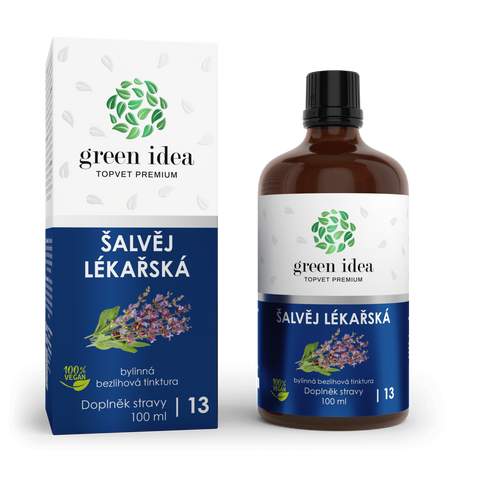 Green idea Šalvěj lékařská - bezlihová tinktura 100 ml