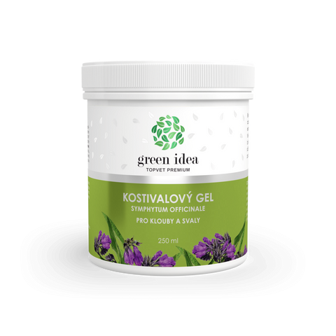 Green idea Kostivalový masážní gel 250 ml