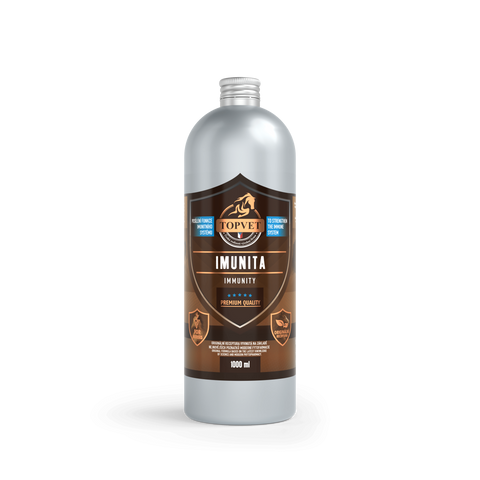 Green idea Sirup Imunita 1000 ml