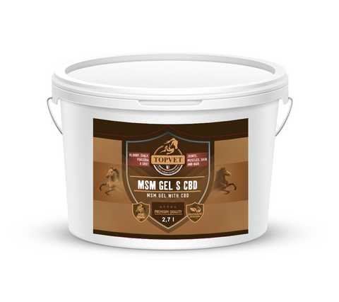 Green idea MSM gel s CBD 2,7 l 2700 ml