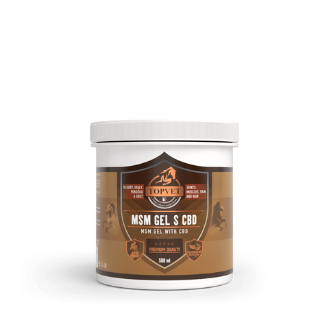 Green idea MSM gel s CBD 500 ml